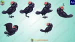 2D Female Crow Character Pack - Fully Rigged with 6 Animations (Animate CC)