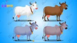 Krishna Series Cows (Gau Mata) – 4 Color Pack (White, Brown, Blue, Grey) - Image 2