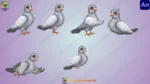2D White Pigeon Character Pack - Fully Rigged with 6 Animations (Animate CC)