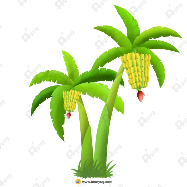 Indian Banana Trees Vector – Kela Ka Ped with Fruit Bunches (Available in Animated .FLA & Static .PSD)