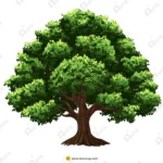Indian Arrow Tree Vector – Big Green Shade Tree with Dense Foliage (Available in Animated .FLA & Static .PSD)