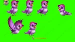 16 Animated Birds Green Screen Bundle - Talking, Walking, Flying (30 Sec Each) - Image 4
