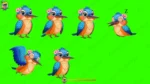 16 Animated Birds Green Screen Bundle - Talking, Walking, Flying (30 Sec Each) - Image 6