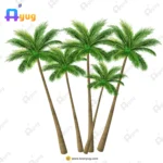 Indian Coconut Trees Cluster Vector – Group of 5 Tall Palms with Green Coconuts (Available in Animated .FLA & Static .PSD)