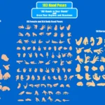 183 Free Premium Hand Poses Pack for 2D Animation – Ultimate Gesture Library for Adobe Animate CC