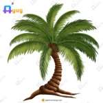 Indian Dwarf Coconut Tree Vector – Mud Textured Trunk & Roots Prop (Available in Animated .FLA & Static .PSD)