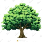 Indian Neem Tree Vector – Medicinal Village Tree (Azadirachta Indica) Prop (Available in Animated .FLA & Static .PSD)