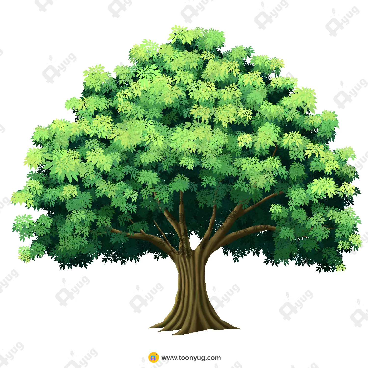Neem Tree Thumbnail Indian Neem Tree Vector – Medicinal Village Tree (Azadirachta Indica) Prop (Available in Animated .FLA & Static .PSD) - Image 1