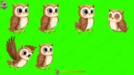 16 Animated Birds Green Screen Bundle - Talking, Walking, Flying (30 Sec Each) - Image 12