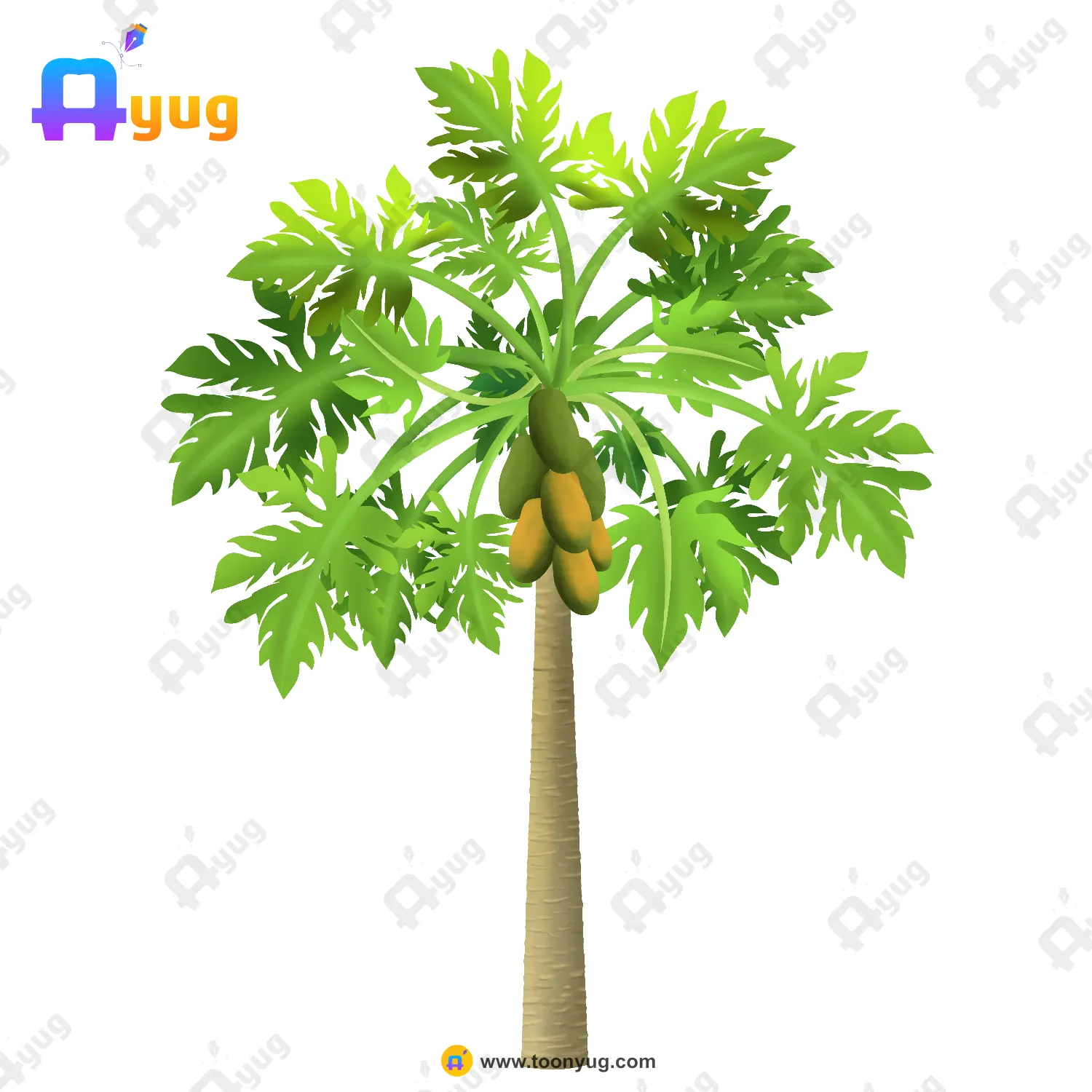 Papaya Tree Thumnail Indian Papaya Tree Vector – Papita Ka Ped with Ripening Fruit Cluster (Available in Animated .FLA & Static .PSD) - Image 1