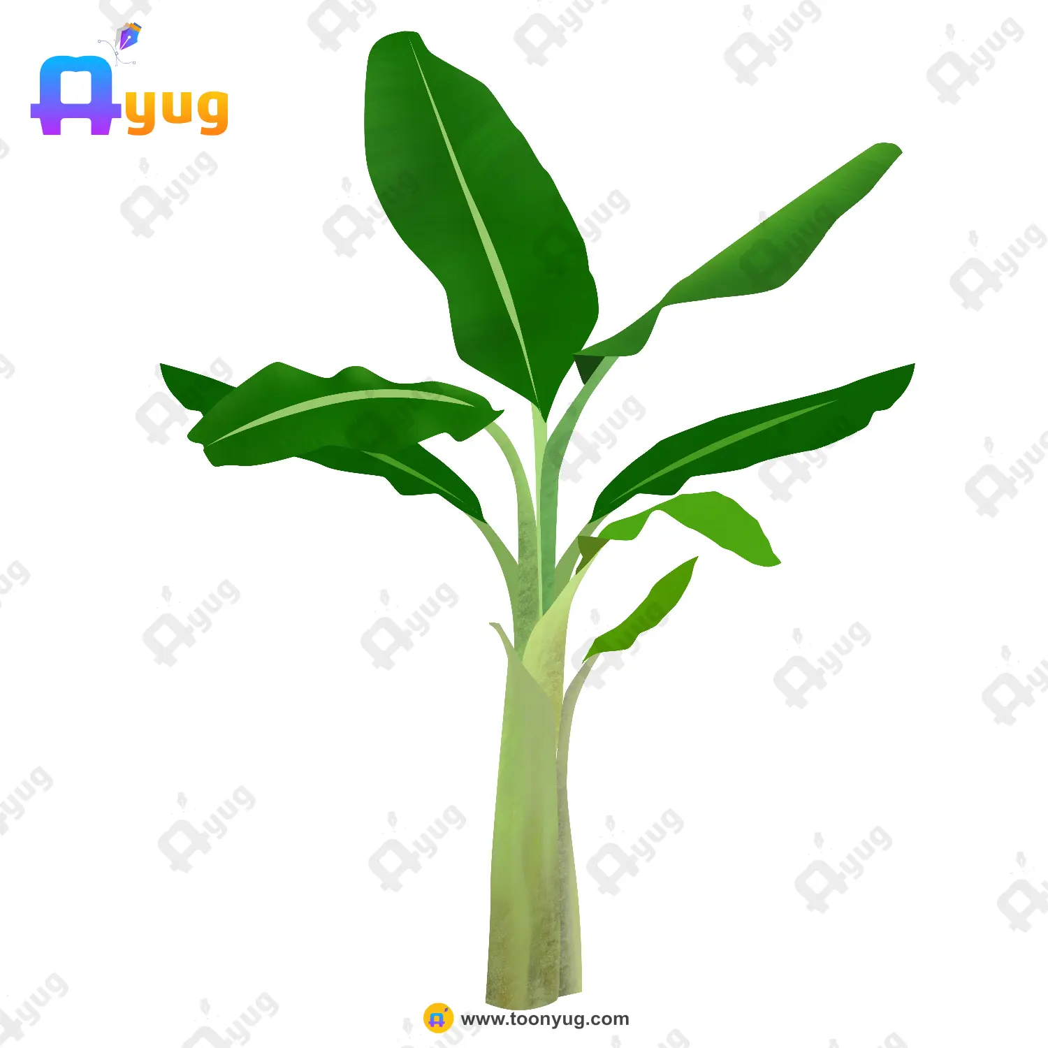 Small Banana Plant Thumnail Indian Small Banana Plant Vector – Young Sapling / Baby Tree Prop (Available in Animated .FLA & Static .PSD) - Image 1