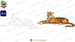 2D Cartoon Tiger Animal Character Set - Animated Jungle Predator Poses - Image 4