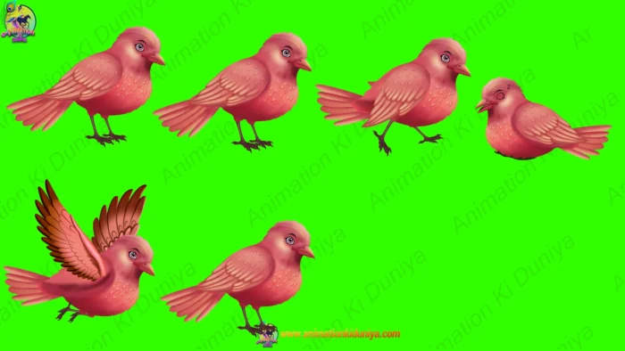2D Digital Animation Asset: 16 Cartoon Bird Characters Bundle (Green ...