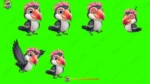 16 Animated Birds Green Screen Bundle - Talking, Walking, Flying (30 Sec Each) - Image 5