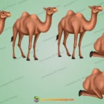 Animated 2D Camel Character Pack - Multiple Poses for Desert Stories