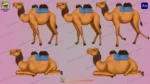 2D Animated Camel Character Pack for Moral & Cartoon Stories