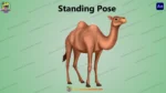 Animated 2D Camel Character Pack - Multiple Poses for Desert Stories - Image 7