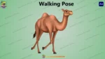 Animated 2D Camel Character Pack - Multiple Poses for Desert Stories - Image 9