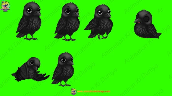 2D Digital Animation Asset: 16 Cartoon Bird Characters Bundle (Green ...