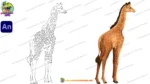 2D Animated Giraffe Character Pack for Professional Jungle Cartoon - Image 3