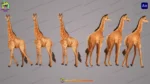 2D Animated Giraffe Character Pack for Professional Jungle Cartoon