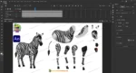 2D Animated Zebra Character Pack for Safari & Educational Stories - Image 2
