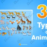 30+ Animated Animal Characters Mega Set – Ultimate Wildlife Pack for Adobe Animate CC