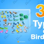 30+ Animated Bird Characters Mega Set – Professional Asset Pack for Adobe Animate CC