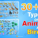 Ultimate Nature & Wildlife Mega-Bundle: 60+ Animated Animals & Birds for Adobe Animate CC