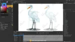 Beautiful White Crane – Ultimate 2-Variant Rigged or Animated for Adobe Animate CC - Image 2