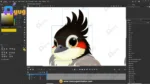 Professional Bulbul (Red-Vented) – Ultimate 2-Variant Rigged or Animated for Adobe Animate CC - Image 3