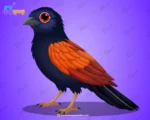 Coucal (Bharadwaj) Bird – Ultimate 2-Variant Rigged or Animated Adobe Animate CC