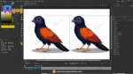 Coucal (Bharadwaj) Bird – Ultimate 2-Variant Rigged or Animated Adobe Animate CC - Image 3