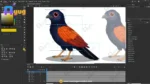 Coucal (Bharadwaj) Bird – Ultimate 2-Variant Rigged or Animated Adobe Animate CC - Image 4
