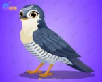 Professional Cuckoo Bird – Ultimate 2-Variant Rigged or Animated for Adobe Animate CC