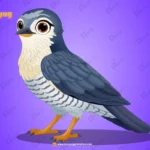 Professional Cuckoo Bird – Ultimate 2-Variant Rigged or Animated for Adobe Animate CC