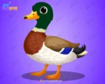 Mallard Duck Character – Ultimate 2-Variant Rigged or Animated for Adobe Animate CC Product Overview