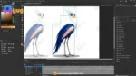 75+ Ultimate Unique Bird Mega-Pack | Professionally Rigged & Animated | Advance Gradient Characters for Adobe Animate CC - Image 192