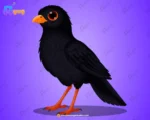 Black Koyal Bird Character – Ultimate 2-Variant Rigged or Animated for Adobe Animate CC