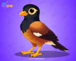Great Maina Bird – Ultimate 2-Variant Rigged or Animated for Adobe Animate CC