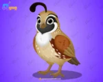 Quail (Bater) Bird – Ultimate 2-Variant Rigged & Animated Character for Adobe Animate CC
