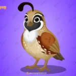 Quail (Bater) Bird – Ultimate 2-Variant Rigged & Animated Character for Adobe Animate CC