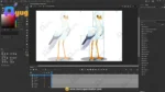 75+ Ultimate Unique Bird Mega-Pack | Professionally Rigged & Animated | Advance Gradient Characters for Adobe Animate CC - Image 113