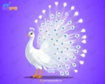 Majestic White Peacock – Pro 2-in-1 Master Rig & Animated Bundle for Adobe Animate CC