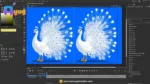 Majestic White Peacock – Pro 2-in-1 Master Rig & Animated Bundle for Adobe Animate CC - Image 2