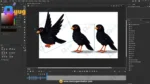 Black Koyal Bird Character – Ultimate 2-Variant Rigged or Animated for Adobe Animate CC - Image 3