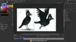 Flat Skin Crow Bird Character – Ultimate 2-Variant Rigged or Animated for Adobe Animate CC - Image 3