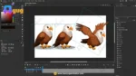 Eagle Bird – Ultimate 2-Variant Rigged or Animated for Adobe Animate CC - Image 3