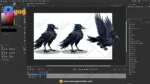 Dark Mystic Crow – Ultimate 2-Variant Rigged & Animated Character for Adobe Animate CC - Image 3