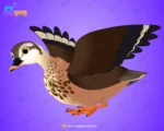 Professional Brown Duck – Ultimate 2-Variant Rigged or Animated for Adobe Animate CC - Image 2